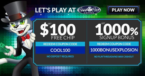 Casino Cat Sports Betting App Download — Review for UK Players